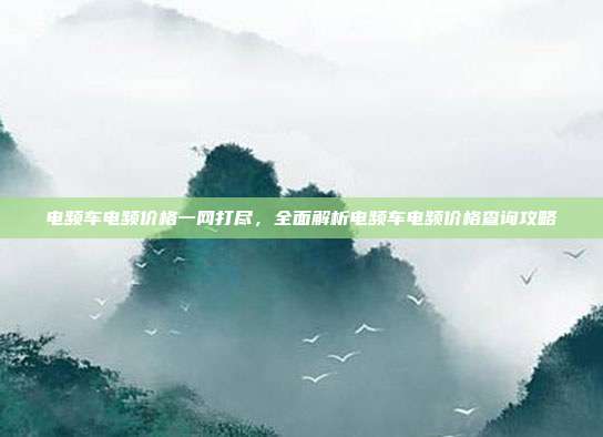 电频车电频价格一网打尽，全面解析电频车电频价格查询攻略