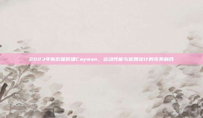 2023年新款保时捷Cayman，运动性能与优雅设计的完美融合