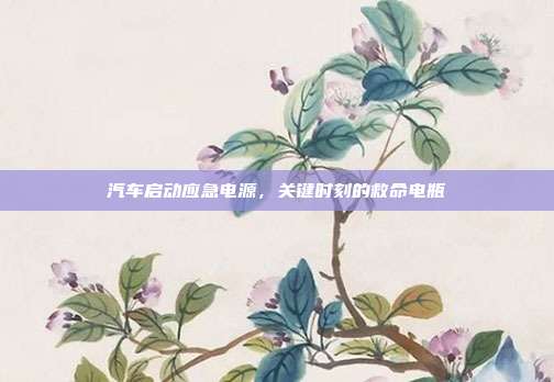 汽车启动应急电源，关键时刻的救命电瓶
