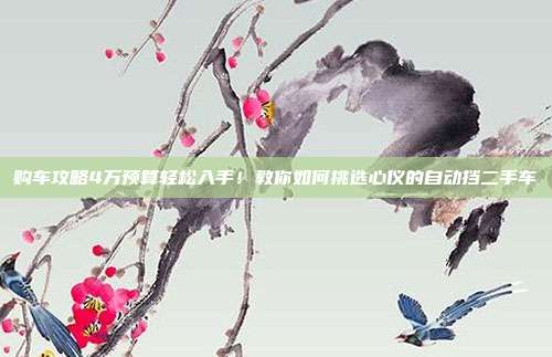 购车攻略4万预算轻松入手！教你如何挑选心仪的自动挡二手车