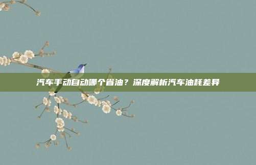 汽车手动自动哪个省油？深度解析汽车油耗差异