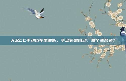 大众CC手动档车型解析，手动还是自动，哪个更合适？