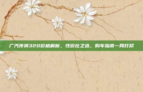 广汽传祺320价格解析，性价比之选，购车指南一网打尽