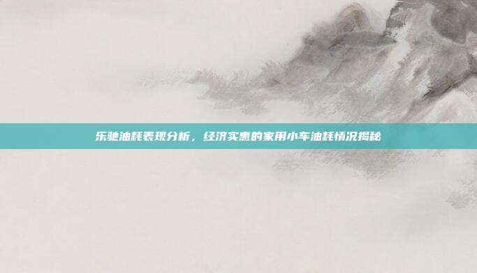 乐驰油耗表现分析，经济实惠的家用小车油耗情况揭秘