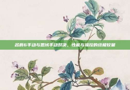 名爵6手动与思域手动对决，性能与操控的终极较量