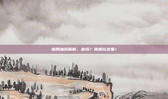 锐腾油耗解析，高吗？真相在这里！