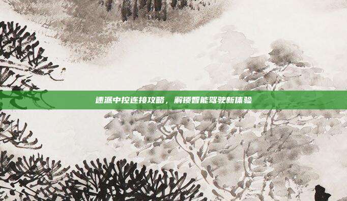 速派中控连接攻略，解锁智能驾驶新体验