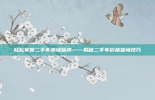 轻松掌握二手车市场脉搏——揭秘二手车价格查询技巧
