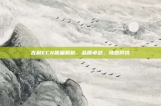 吉利EC8质量解析，品质卓越，领跑同侪