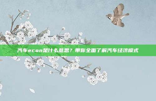 汽车econ是什么意思？带你全面了解汽车经济模式