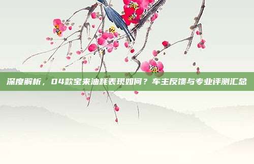 深度解析，04款宝来油耗表现如何？车主反馈与专业评测汇总