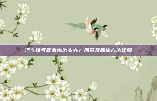 汽车排气管有水怎么办？原因及解决方法详解