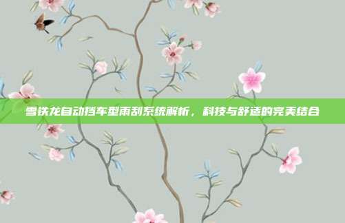 雪铁龙自动挡车型雨刮系统解析，科技与舒适的完美结合