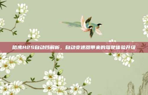 哈佛H2S自动挡解析，自动变速器带来的驾驶体验升级