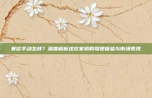 赛欧手动怎样？深度解析这款家轿的驾驶体验与市场表现