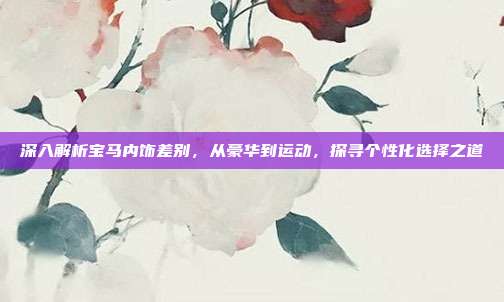 深入解析宝马内饰差别，从豪华到运动，探寻个性化选择之道