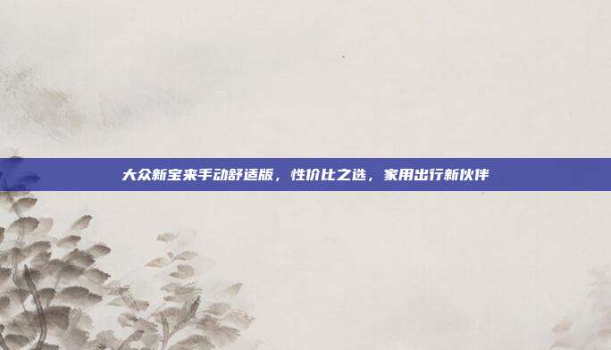 大众新宝来手动舒适版，性价比之选，家用出行新伙伴