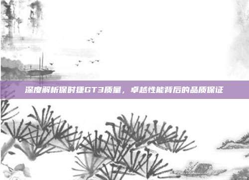 深度解析保时捷GT3质量，卓越性能背后的品质保证