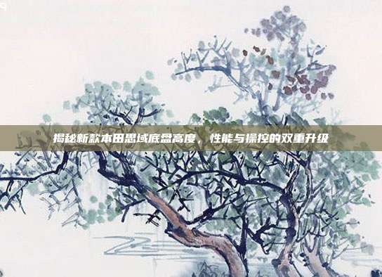 揭秘新款本田思域底盘高度，性能与操控的双重升级