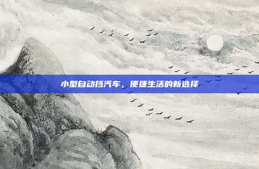 小型自动挡汽车，便捷生活的新选择