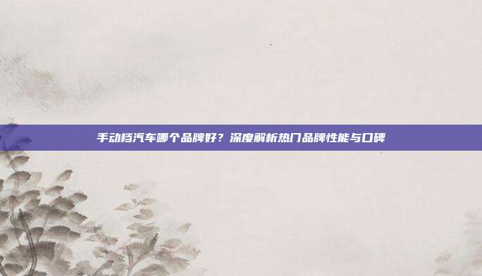 手动档汽车哪个品牌好？深度解析热门品牌性能与口碑