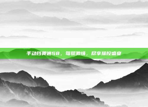手动挡奥迪S8，驾驭激情，尽享操控盛宴