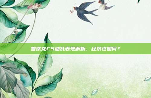 雪铁龙C5油耗表现解析，经济性如何？