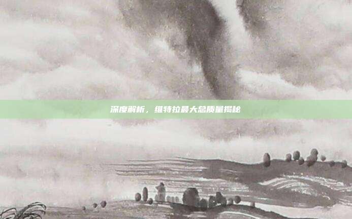 深度解析，维特拉最大总质量揭秘