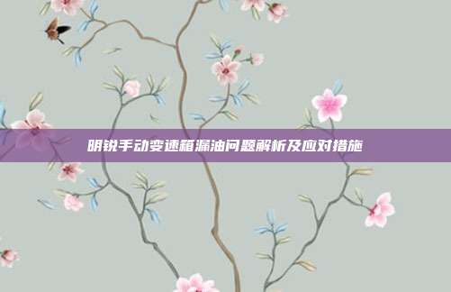 明锐手动变速箱漏油问题解析及应对措施