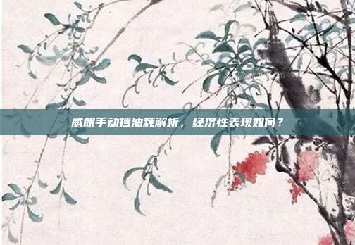 威朗手动挡油耗解析，经济性表现如何？