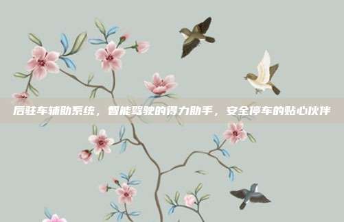 后驻车辅助系统，智能驾驶的得力助手，安全停车的贴心伙伴