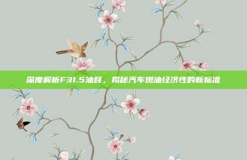 深度解析F31.5油耗，揭秘汽车燃油经济性的新标准