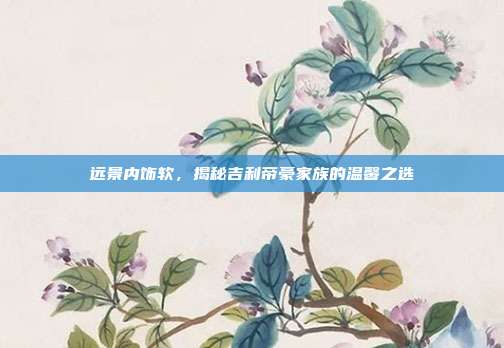 远景内饰软，揭秘吉利帝豪家族的温馨之选