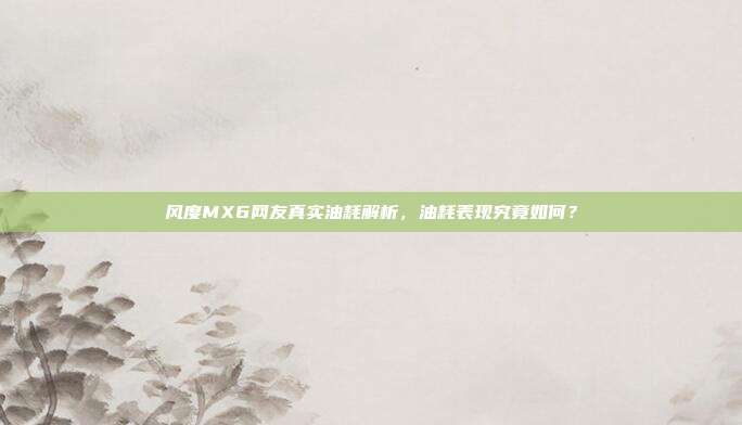 风度MX6网友真实油耗解析，油耗表现究竟如何？