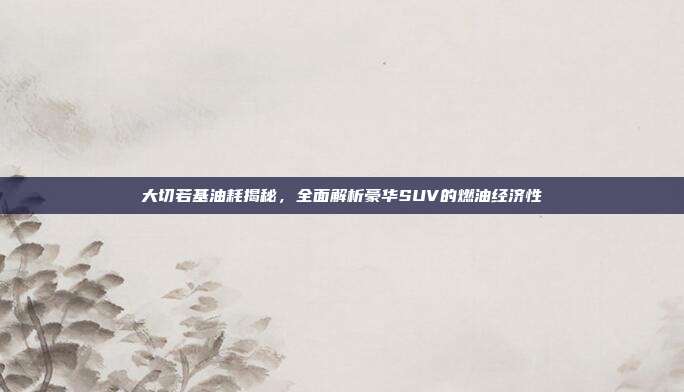 大切若基油耗揭秘，全面解析豪华SUV的燃油经济性
