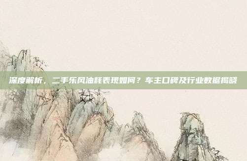 深度解析，二手乐风油耗表现如何？车主口碑及行业数据揭晓