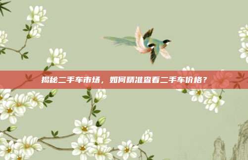揭秘二手车市场，如何精准查看二手车价格？