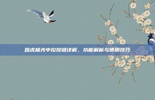 路虎极光中控按键详解，功能解析与使用技巧