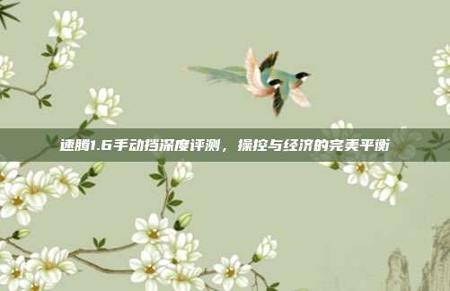 速腾1.6手动挡深度评测，操控与经济的完美平衡