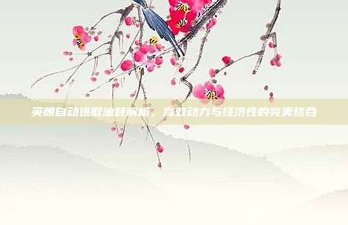 英朗自动进取油耗解析，高效动力与经济性的完美结合
