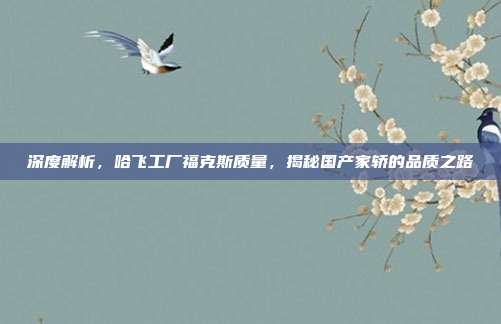 深度解析，哈飞工厂福克斯质量，揭秘国产家轿的品质之路