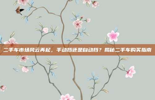 二手车市场风云再起，手动挡还是自动挡？揭秘二手车购买指南