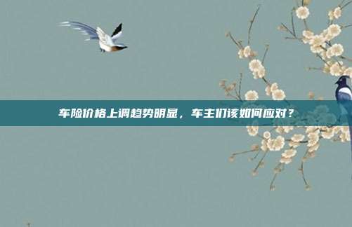 车险价格上调趋势明显，车主们该如何应对？