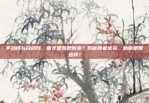 手动挡与自动挡，谁才是驾驶新宠？揭秘两者优劣，助你明智选择！