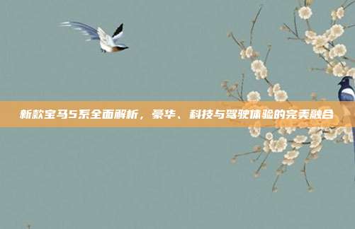 新款宝马5系全面解析，豪华、科技与驾驶体验的完美融合