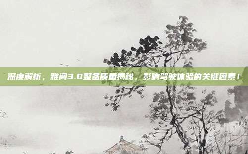 深度解析，雅阁3.0整备质量揭秘，影响驾驶体验的关键因素！