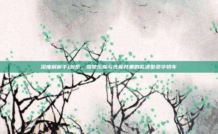 深度解析手动1系，驾驶乐趣与性能并重的紧凑型豪华轿车