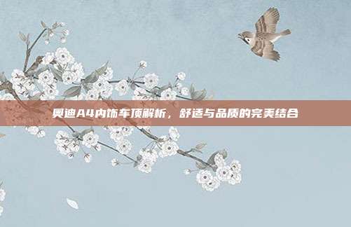 奥迪A4内饰车顶解析，舒适与品质的完美结合