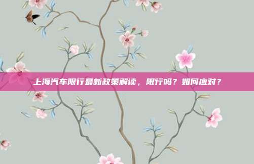 上海汽车限行最新政策解读，限行吗？如何应对？