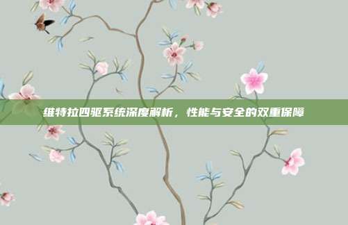 维特拉四驱系统深度解析，性能与安全的双重保障